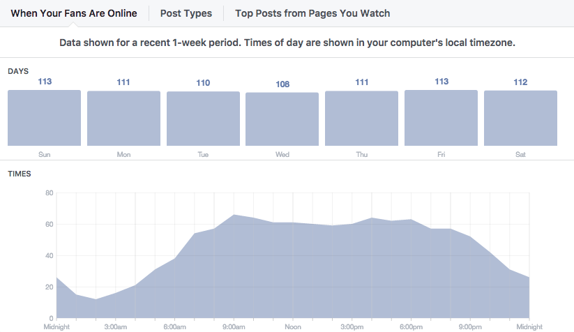 Facebook Insights Screenshot - Audience